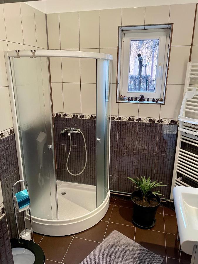 Mosaico Alfetta Hostel Тимишоара Экстерьер фото