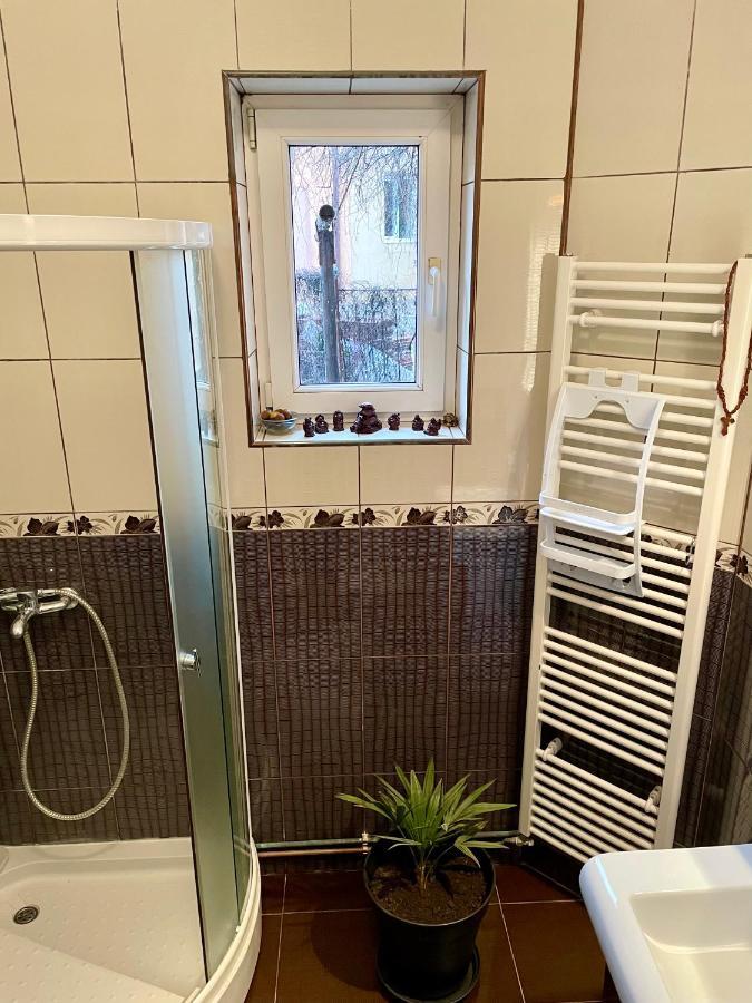 Mosaico Alfetta Hostel Тимишоара Экстерьер фото