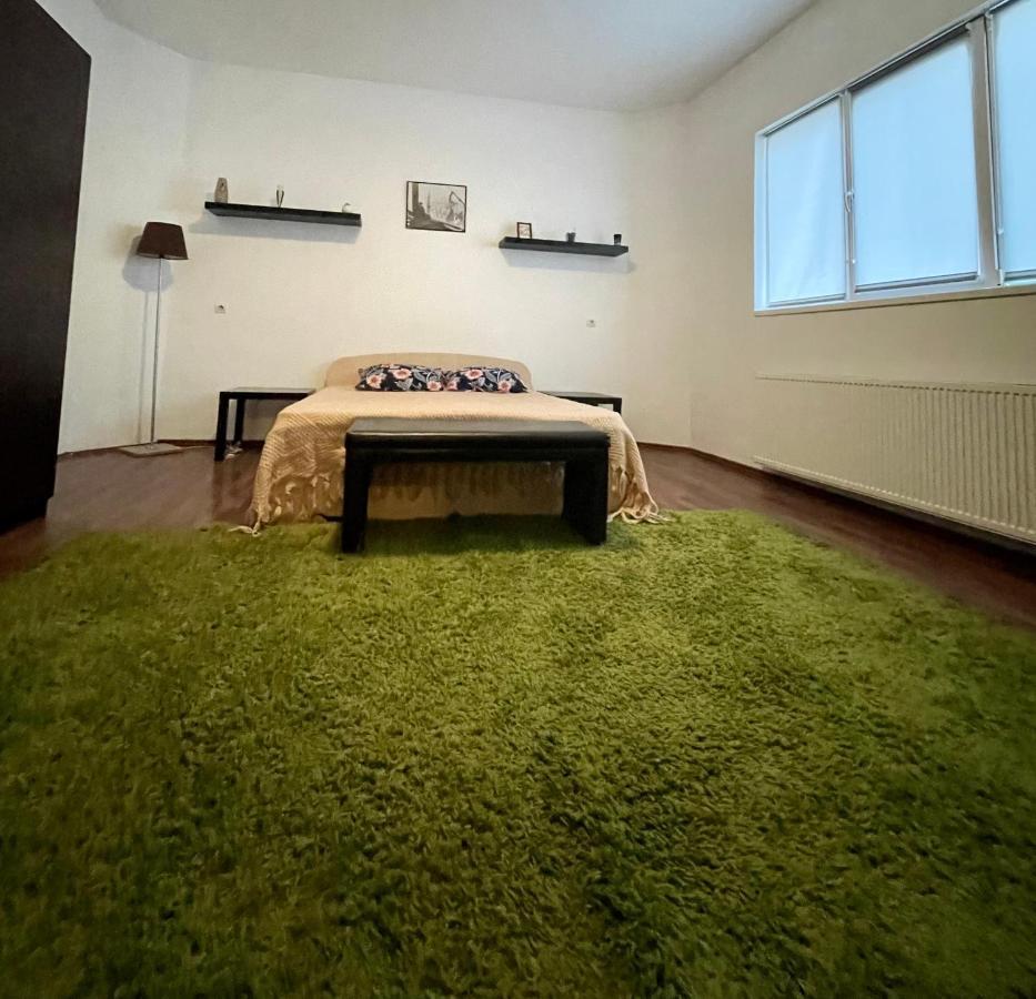 Mosaico Alfetta Hostel Тимишоара Экстерьер фото