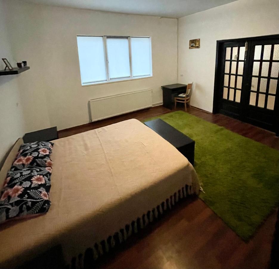 Mosaico Alfetta Hostel Тимишоара Экстерьер фото