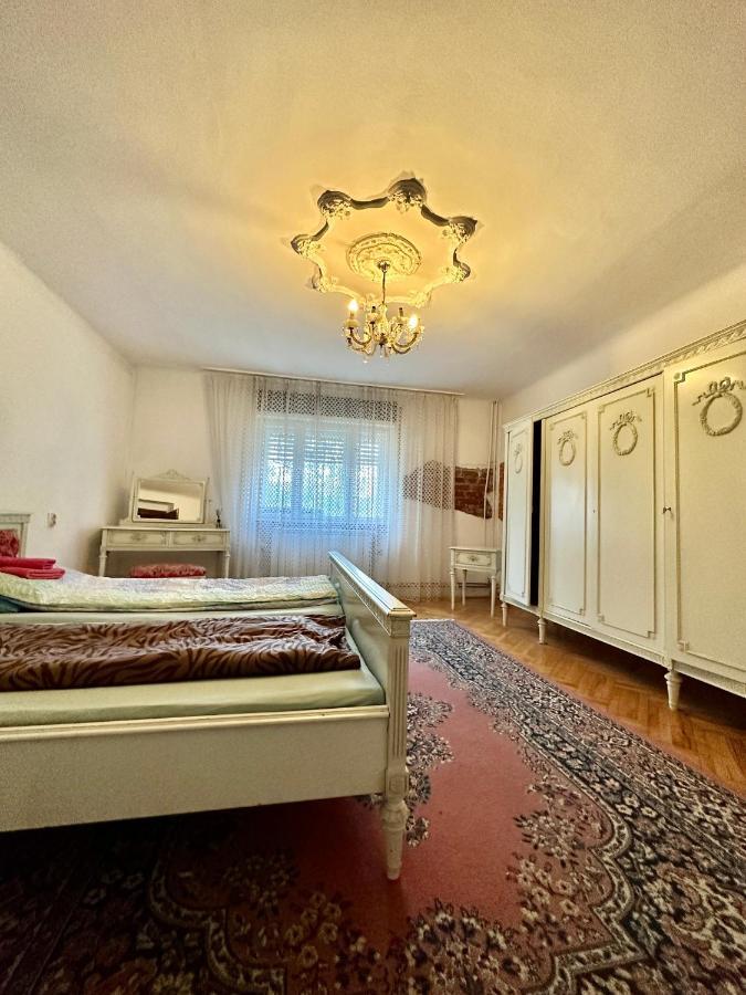 Mosaico Alfetta Hostel Тимишоара Экстерьер фото