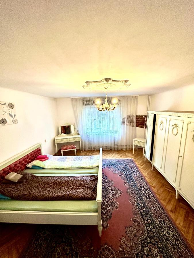 Mosaico Alfetta Hostel Тимишоара Экстерьер фото