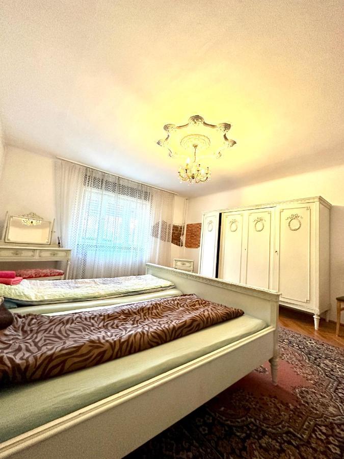 Mosaico Alfetta Hostel Тимишоара Экстерьер фото