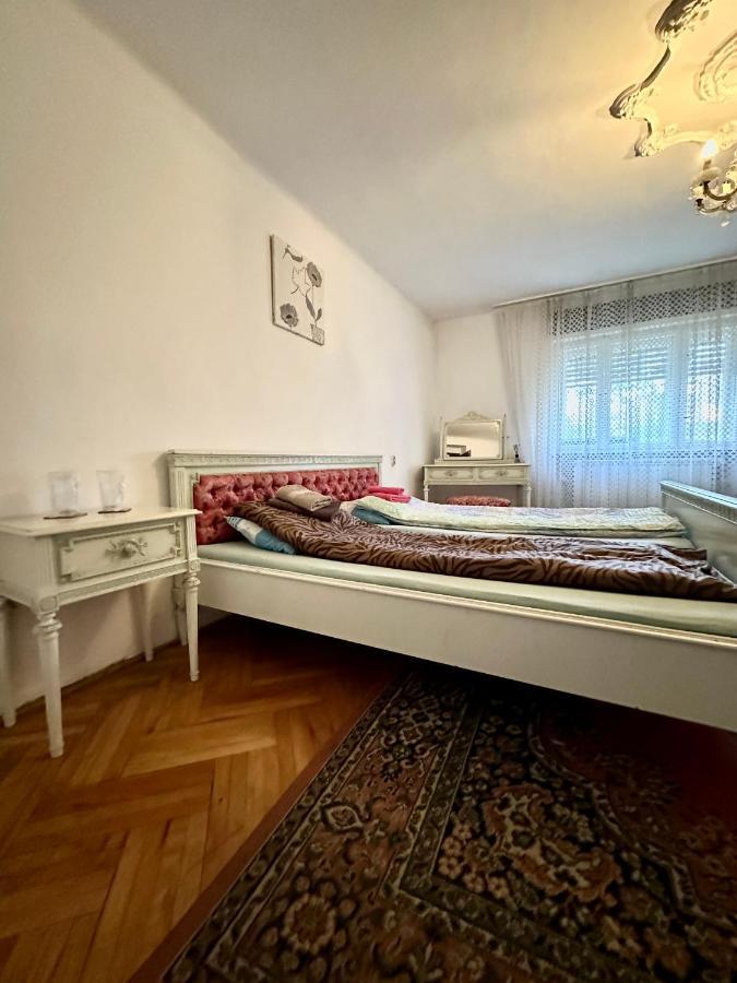Mosaico Alfetta Hostel Тимишоара Экстерьер фото