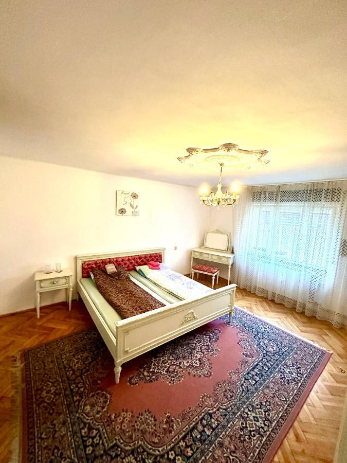 Mosaico Alfetta Hostel Тимишоара Экстерьер фото