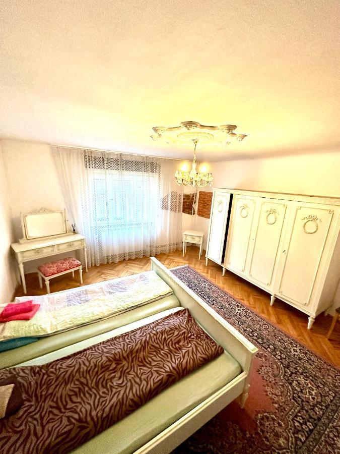 Mosaico Alfetta Hostel Тимишоара Экстерьер фото