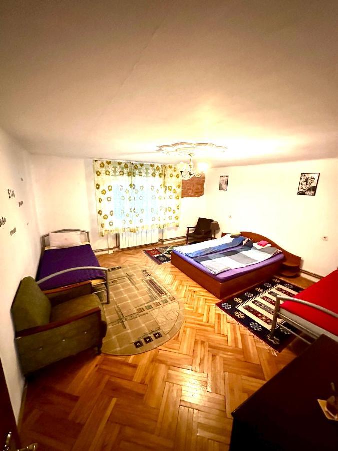 Mosaico Alfetta Hostel Тимишоара Экстерьер фото